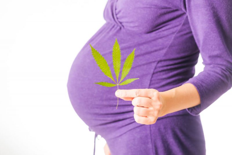 CBD Verwendung in der Schwangerschaft HanfGesundheit.de